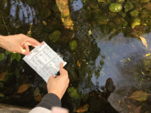 秩父神社水占みくじ結果